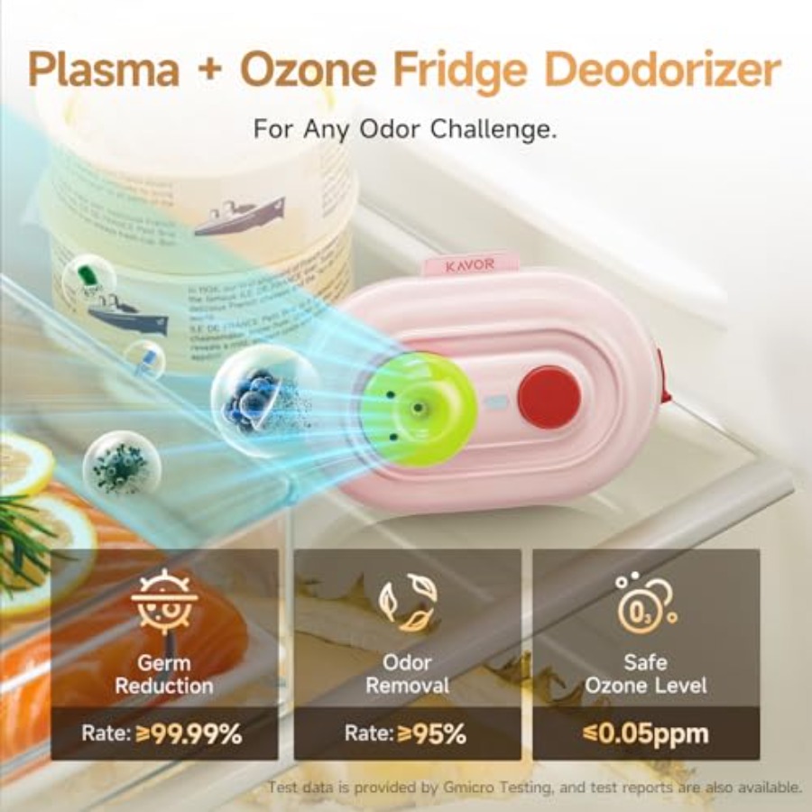 Plasma Fridge Deodorizer Ozone – Odor Eliminator Car Bewertung und Preis
