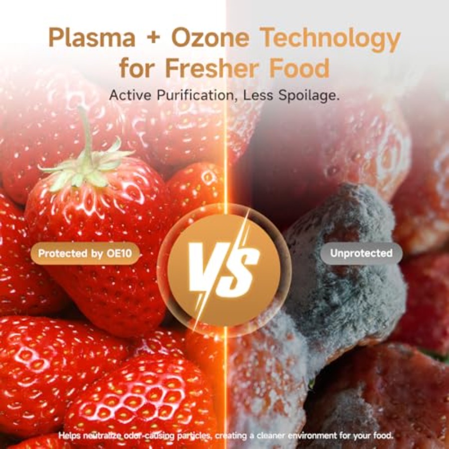 Plasma Fridge Deodorizer Ozone – Odor Eliminator Car Bewertung und Preis