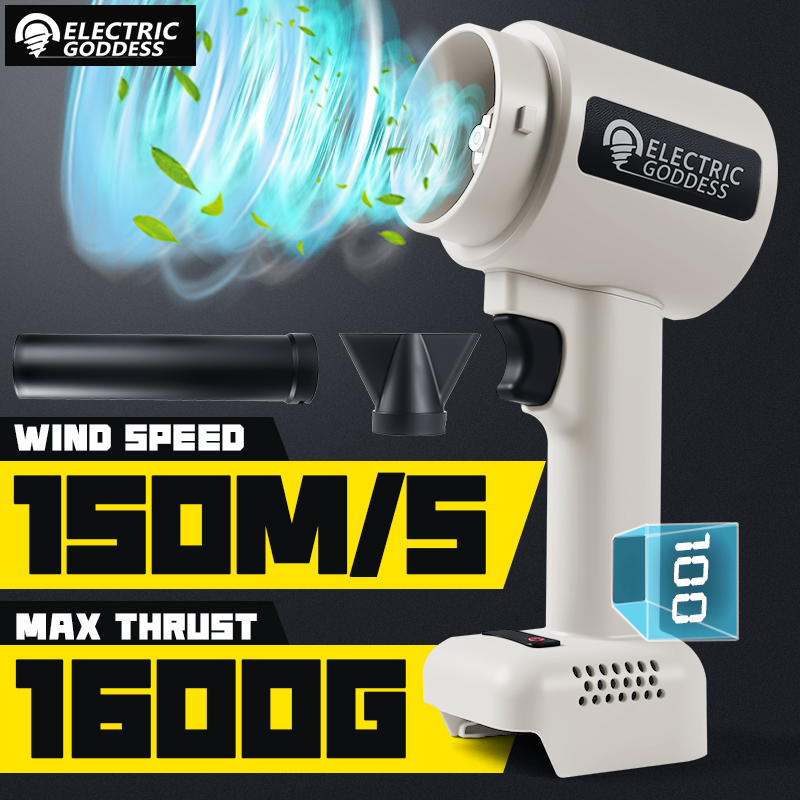 Brushless Violent Air Blower F – Dryer Car Blower Bewertung und Preis